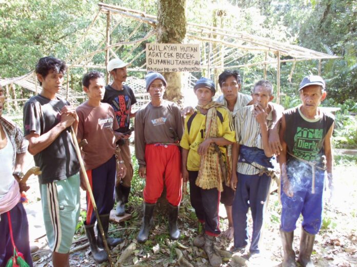 Bisnis Dan HAM Gugatan UU P3H: Masyarakat Ungkapkan Ketidakjelasan Tata Batas Hutan