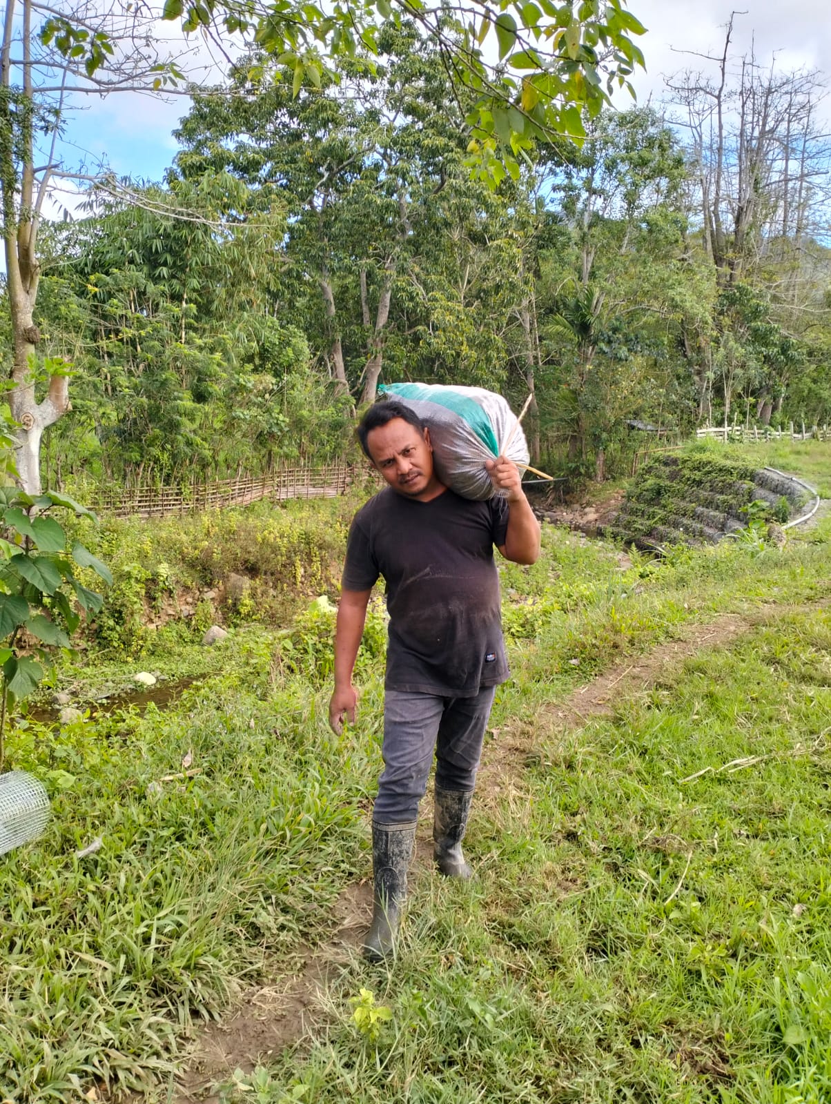 Kepala Desa Lawin/Tokoh Adat mengangkut hasil panen kopi.